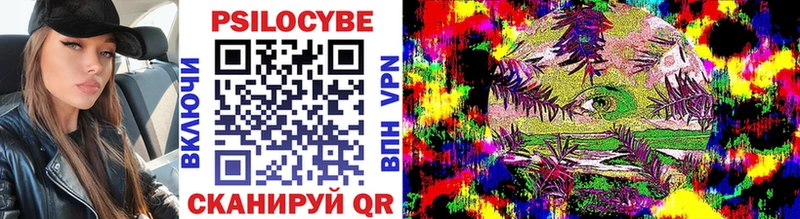 Галлюциногенные грибы MAGIC MUSHROOMS  где продают   Верхотурье 